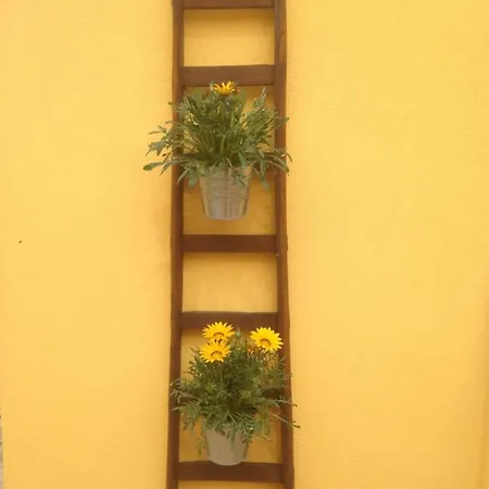Camilla Affitta Holiday home Nicolosi